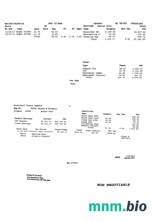 Bee Clean Industrial Sp. Z O. O. PayStub